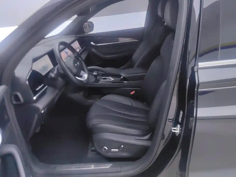 Фото 9 - Geely Monjaro