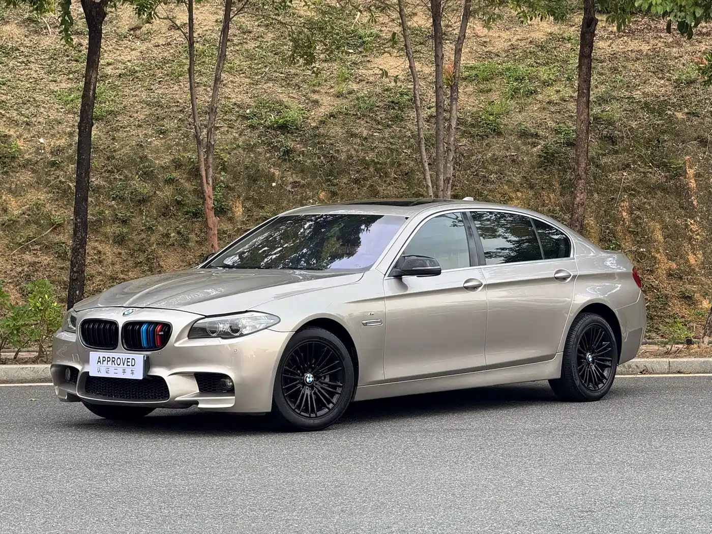 BMW 5 Series 2014 525Li Leading