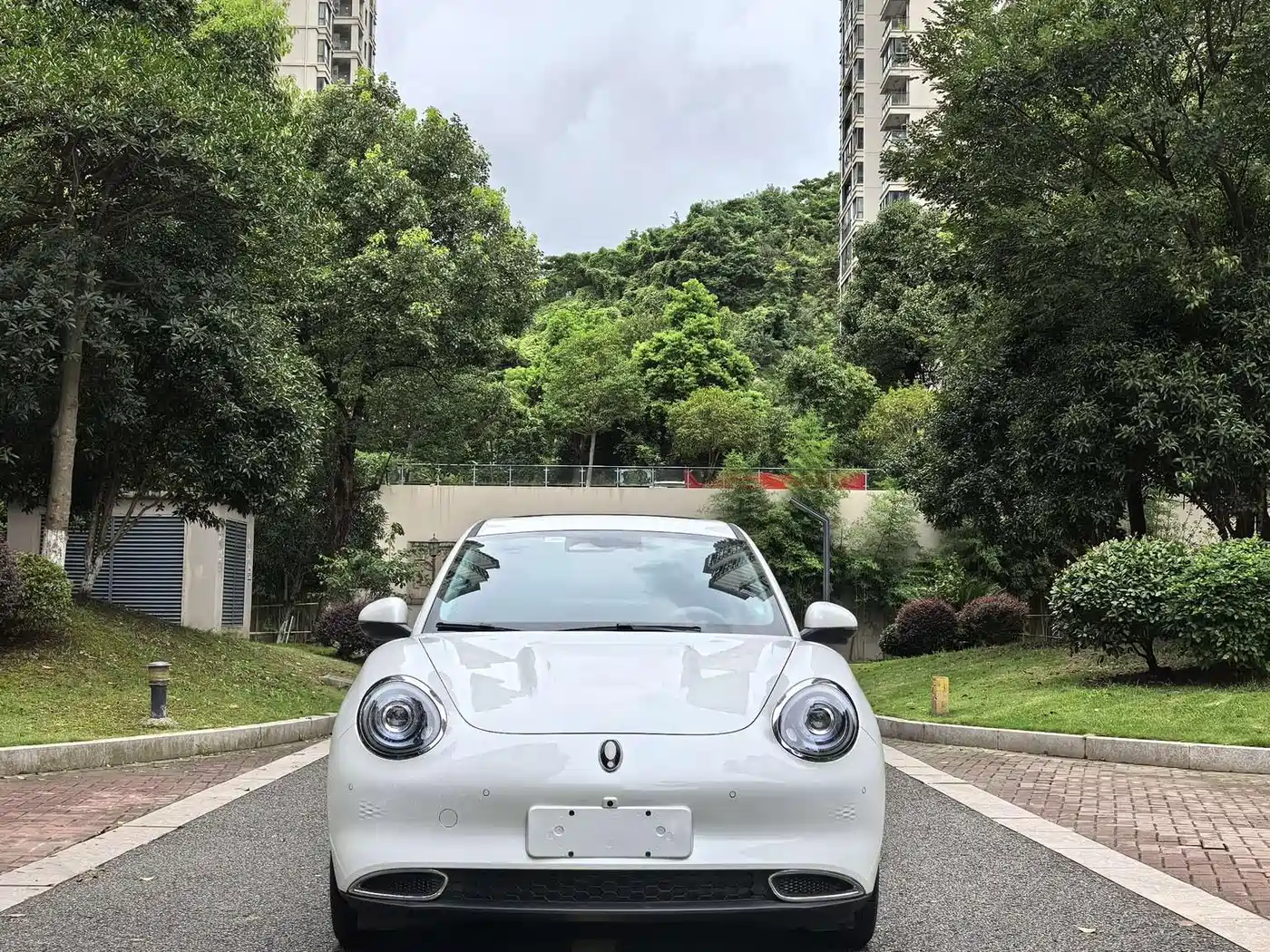 Ora Good Cat 2025 2024 401km Luxury