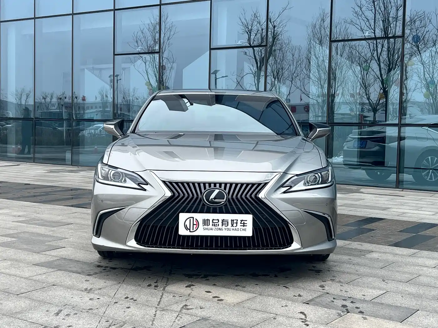 Lexus ES 2018 200 Luxury Edition China V фото 2