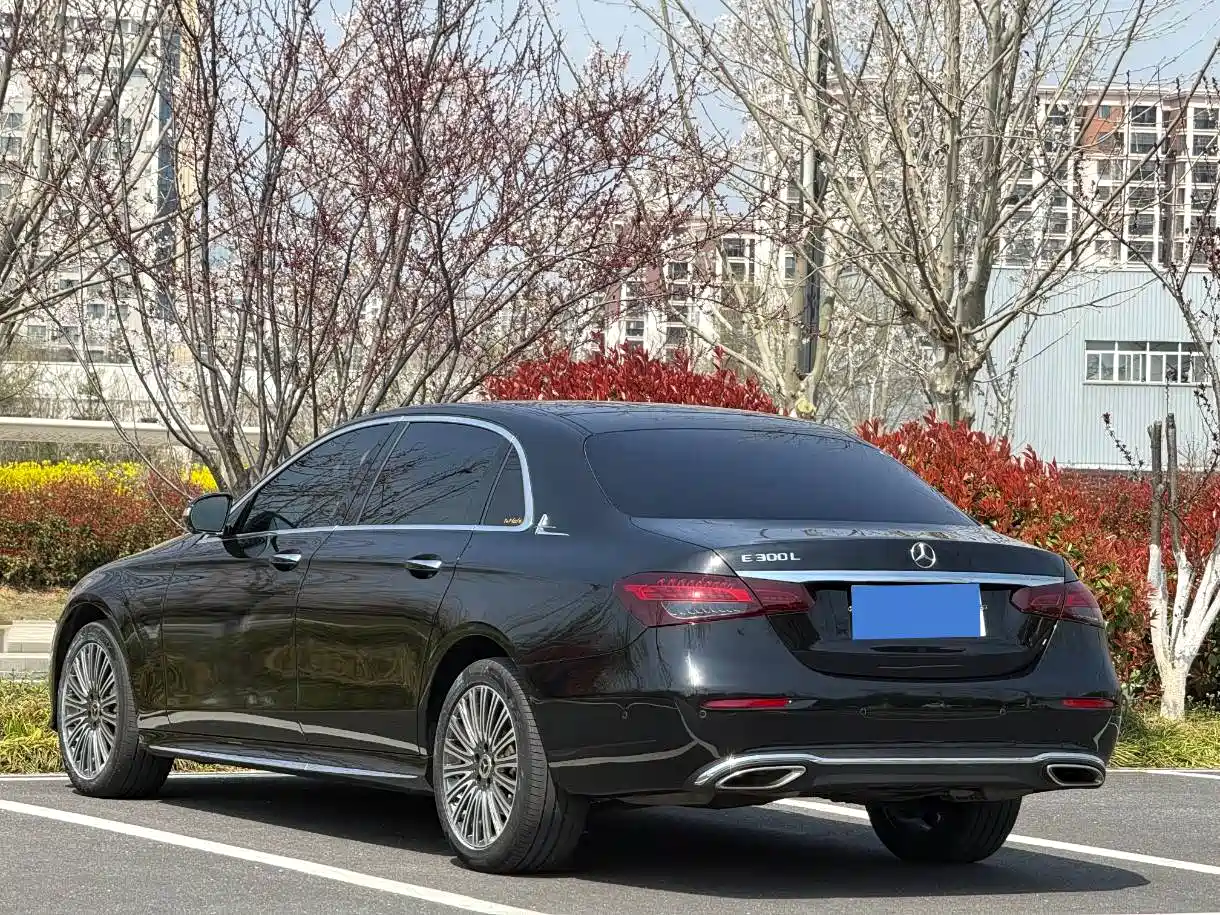 Mercedes-Benz E-Class 2019 Facelift E 300 L Sport Fashion фото 5