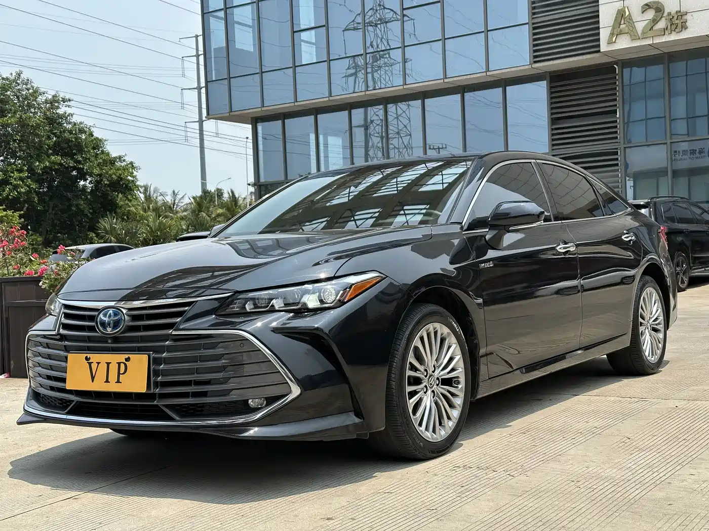 Toyota Avalon 2019 Hybrid 2.5L XLE Premium Edition China VI