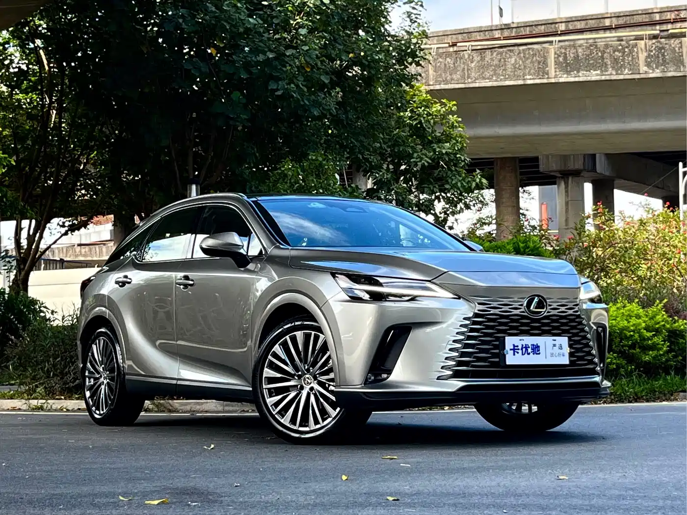 Lexus RX, миниатюра 6