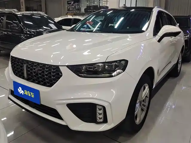 WEI PAI WEI BRAND VV5