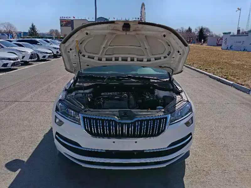 Škoda Karoq 2022 TSI280 Premium фото 8