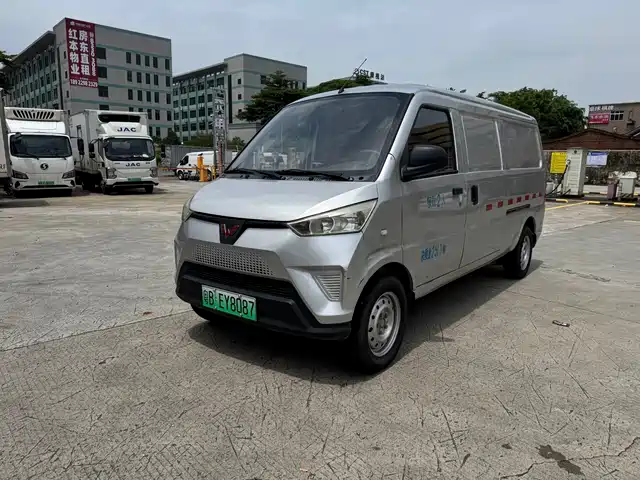 Wuling Motors Wuling EV50 2021