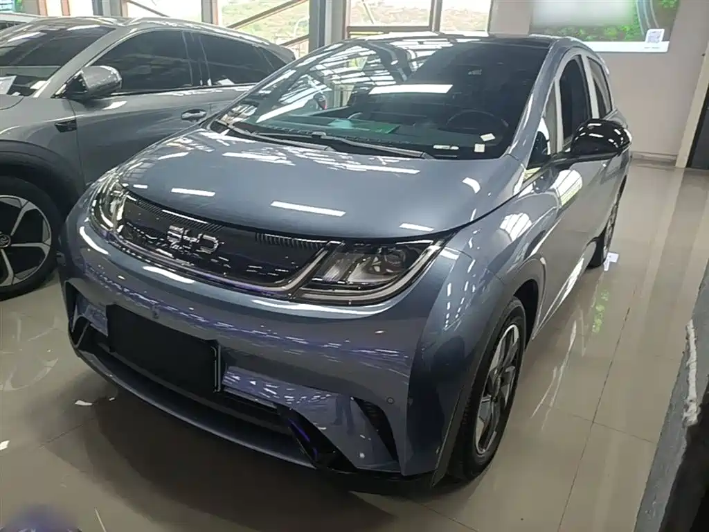 BYD Dolphin 2024 Glory Edition 420km Fashion Edition