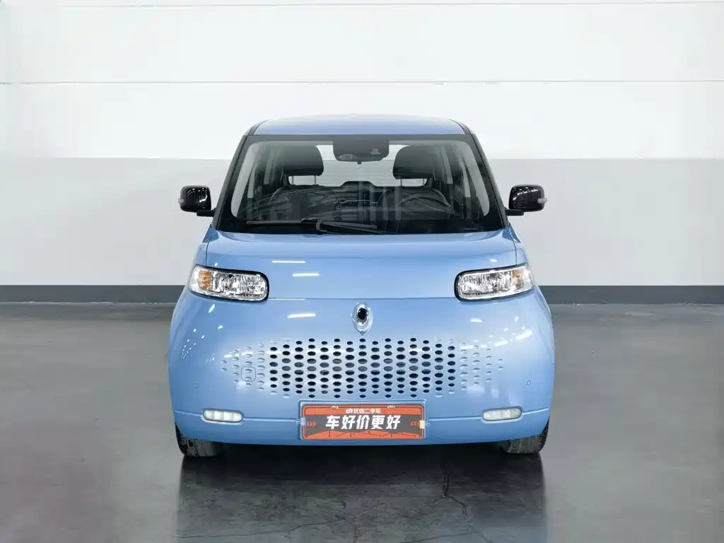Ora White Cat 2021 2020 401km Flagship Model