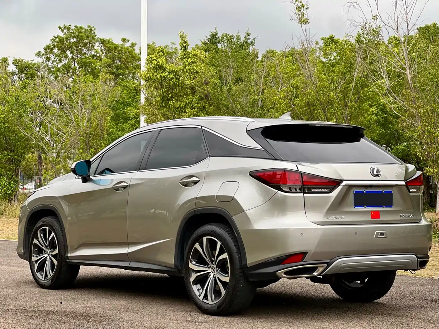 LEXUS RX