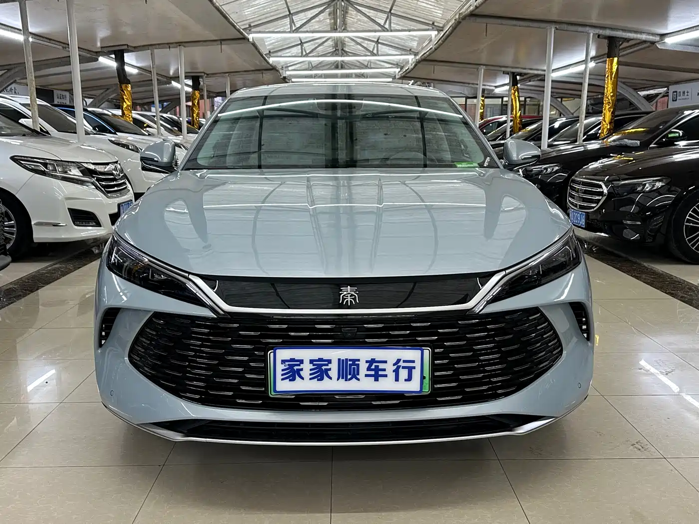 BYD QIN L