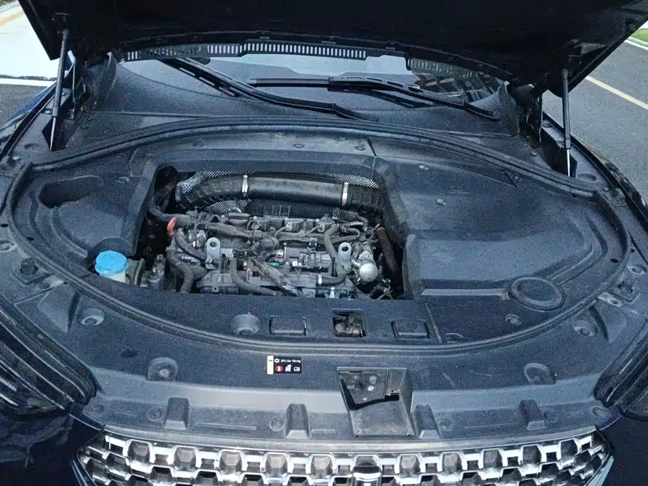 WEY VV7 2019 2020 2.0T Super Luxury