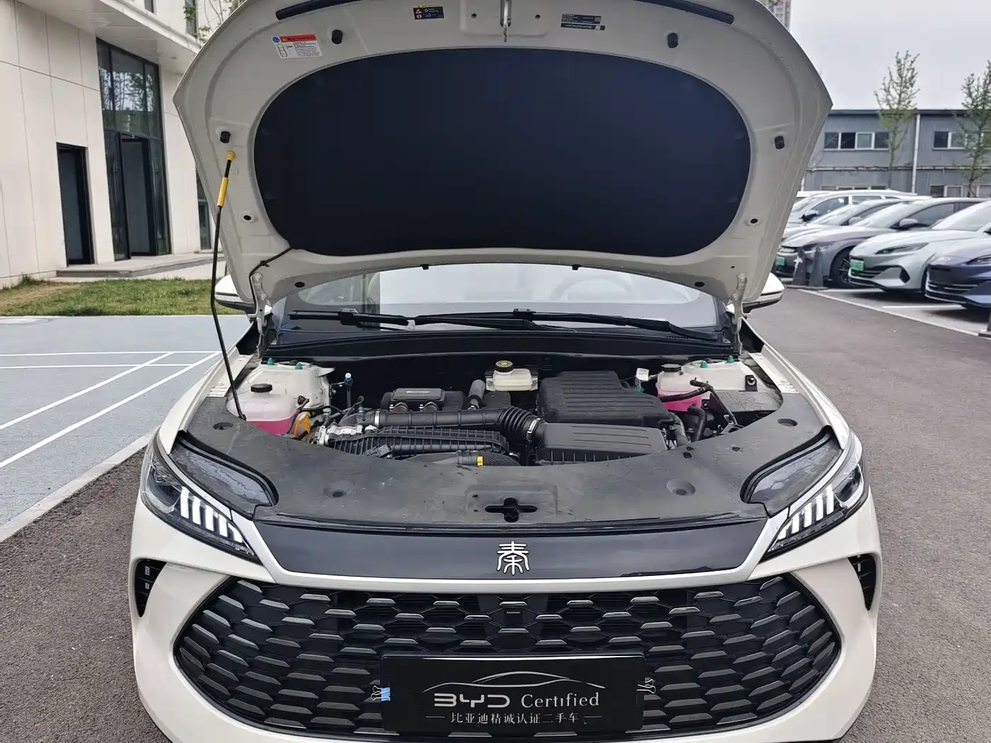Фото 2 - BYD Qin PLUS