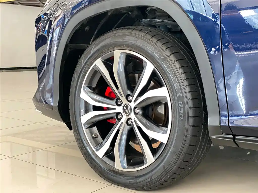 Lexus RX 2020 Facelift 300 AWD Elegance Edition фото 21