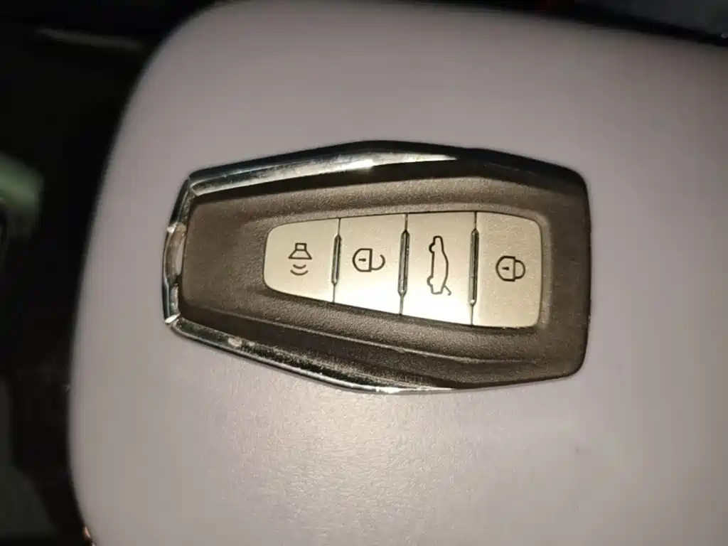 Geely Geometry E Firefly 2024 2022 401KM Delicate Tiger 4-seater