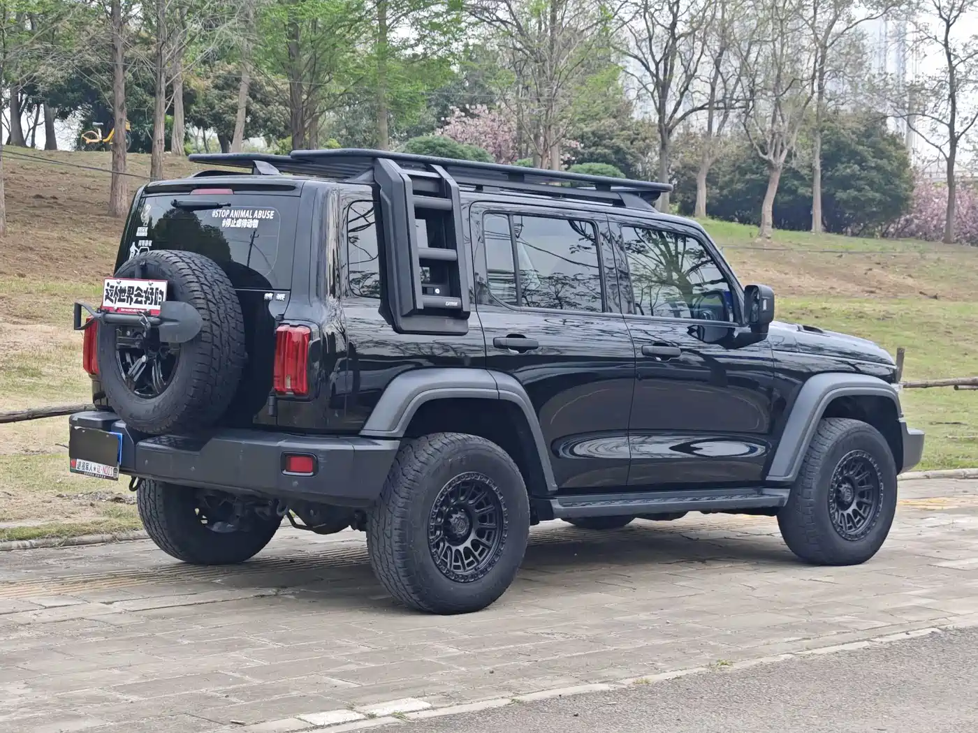 Tank 300 2021 2021 Off-road Version 2.0T Conqueror