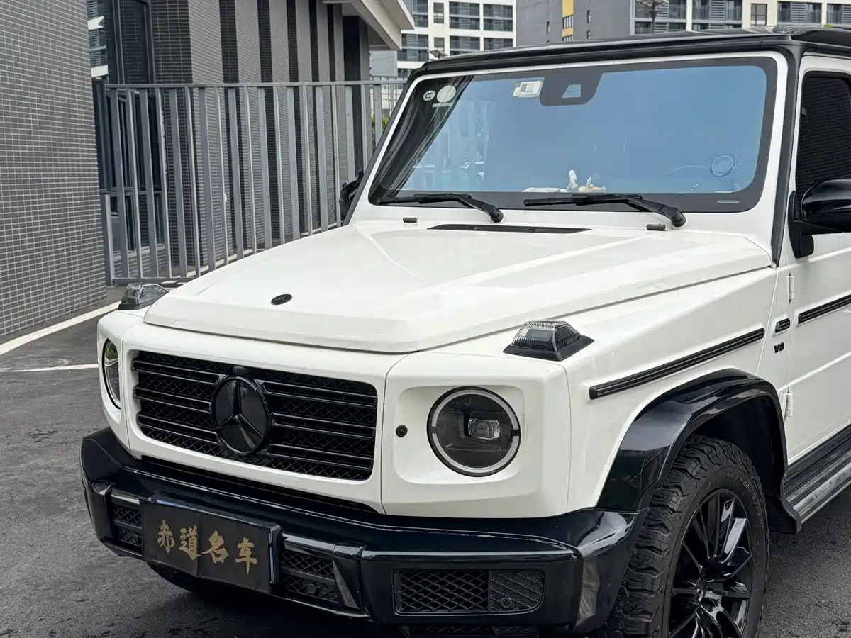 Mercedes-Benz G-Class 2019 G 500 фото 5