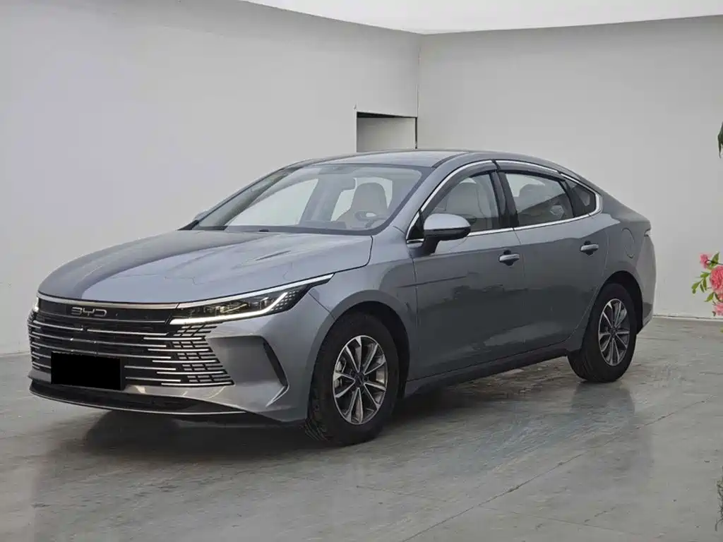 BYD Destroyer 05 2025 2024 Glory Edition DM-i 55KM Luxury