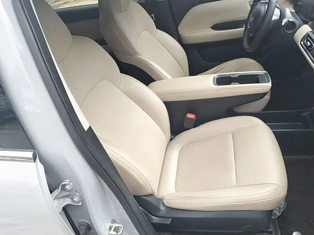 Wuling Motors Wuling Binguo PLUS 2024 2024 Model 510km Flagship Edition 4-Seater