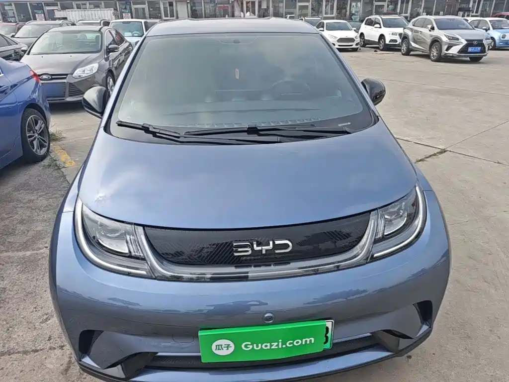 BYD Dolphin 2025 2025 420km Freedom Edition
