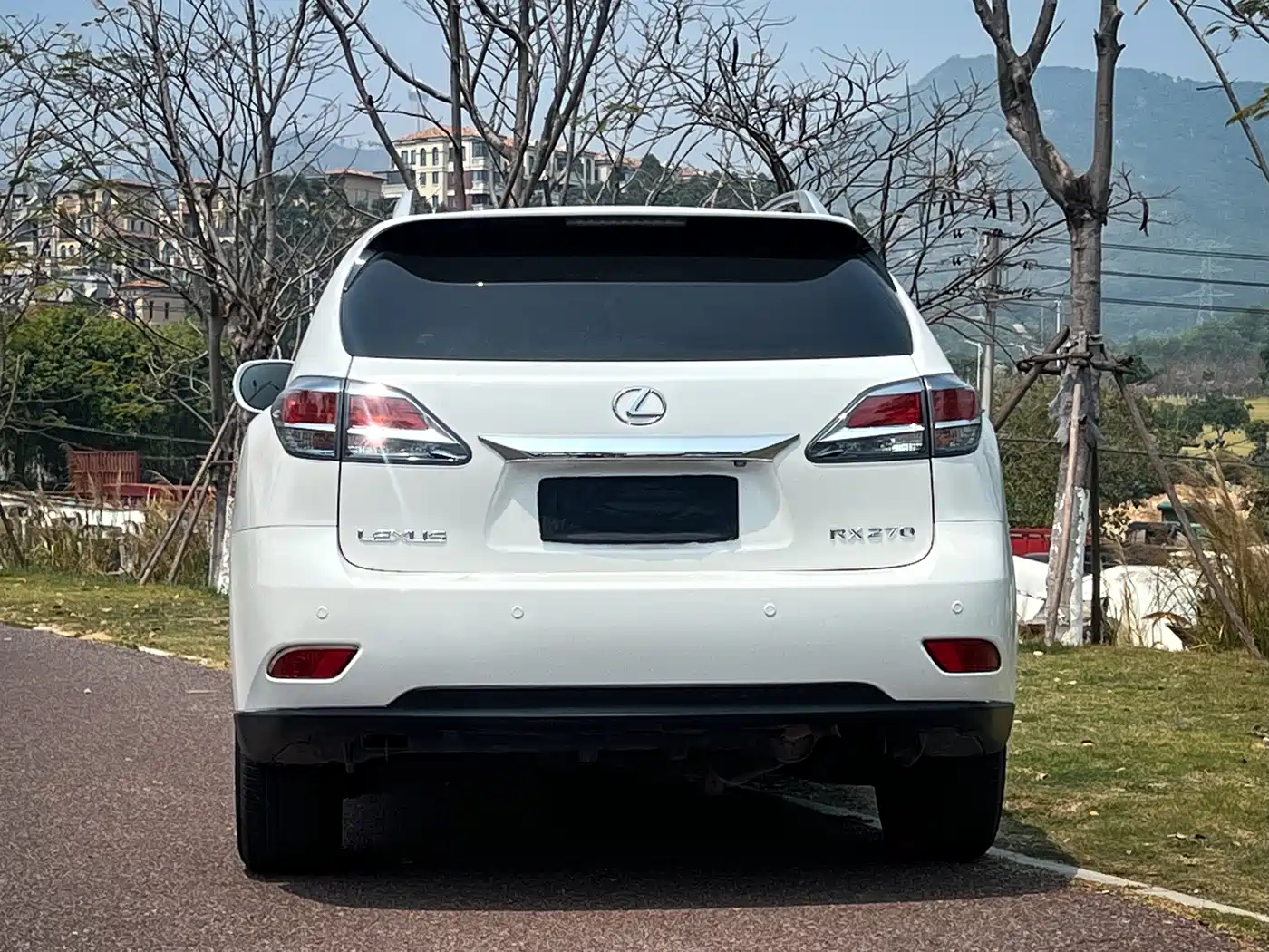 Lexus RX Classic 2013 270 Elegance фото 5