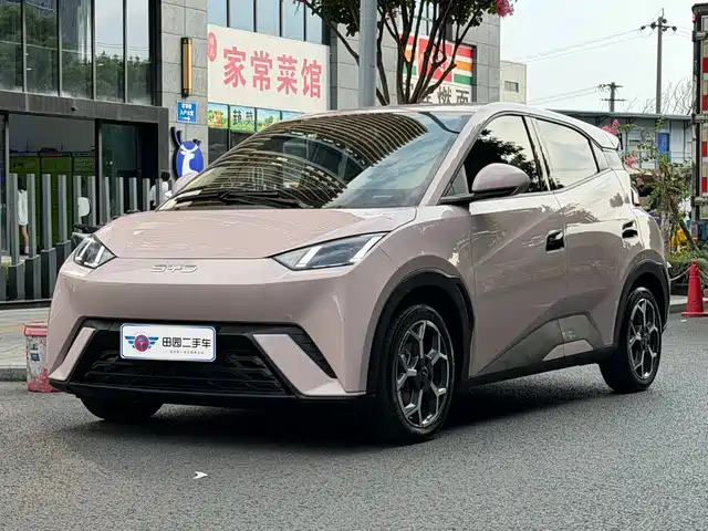 BYD Seagull 2025