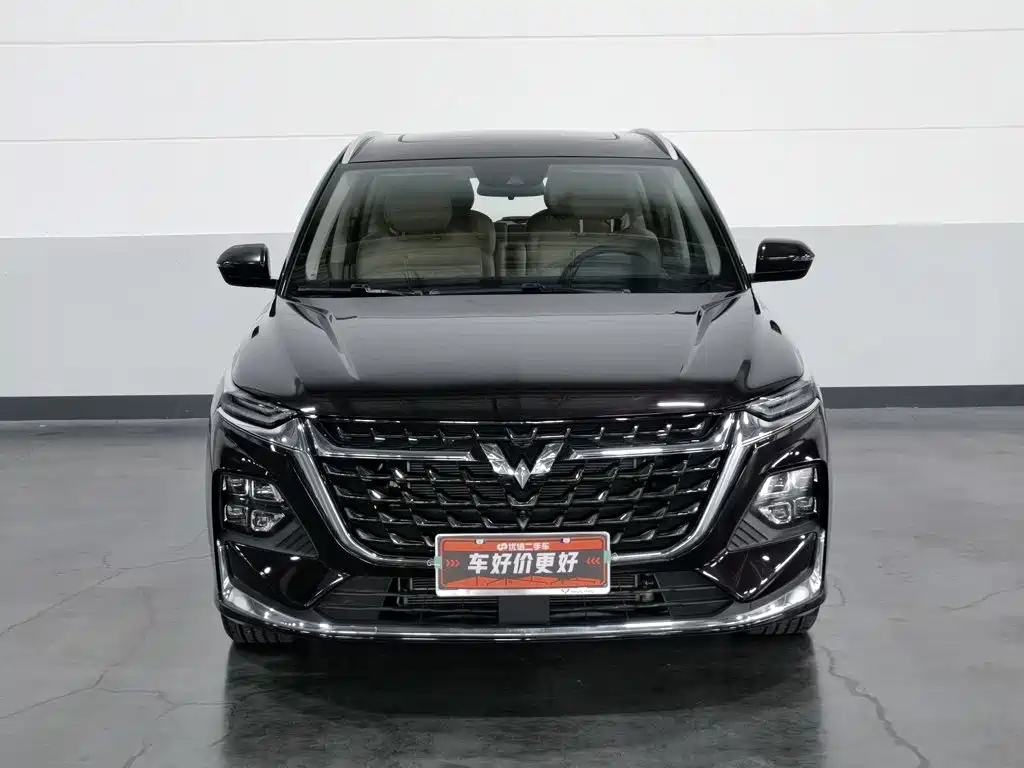 Wuling Motors Wuling Victory 2024 2023 2.0L DHT Premium Edition