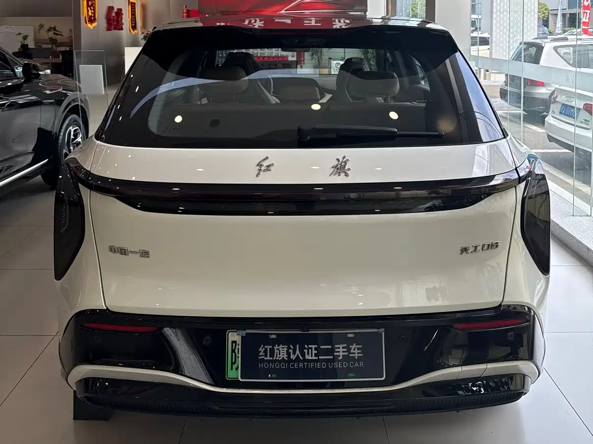 2025 Hongqi Tian Gong 08
