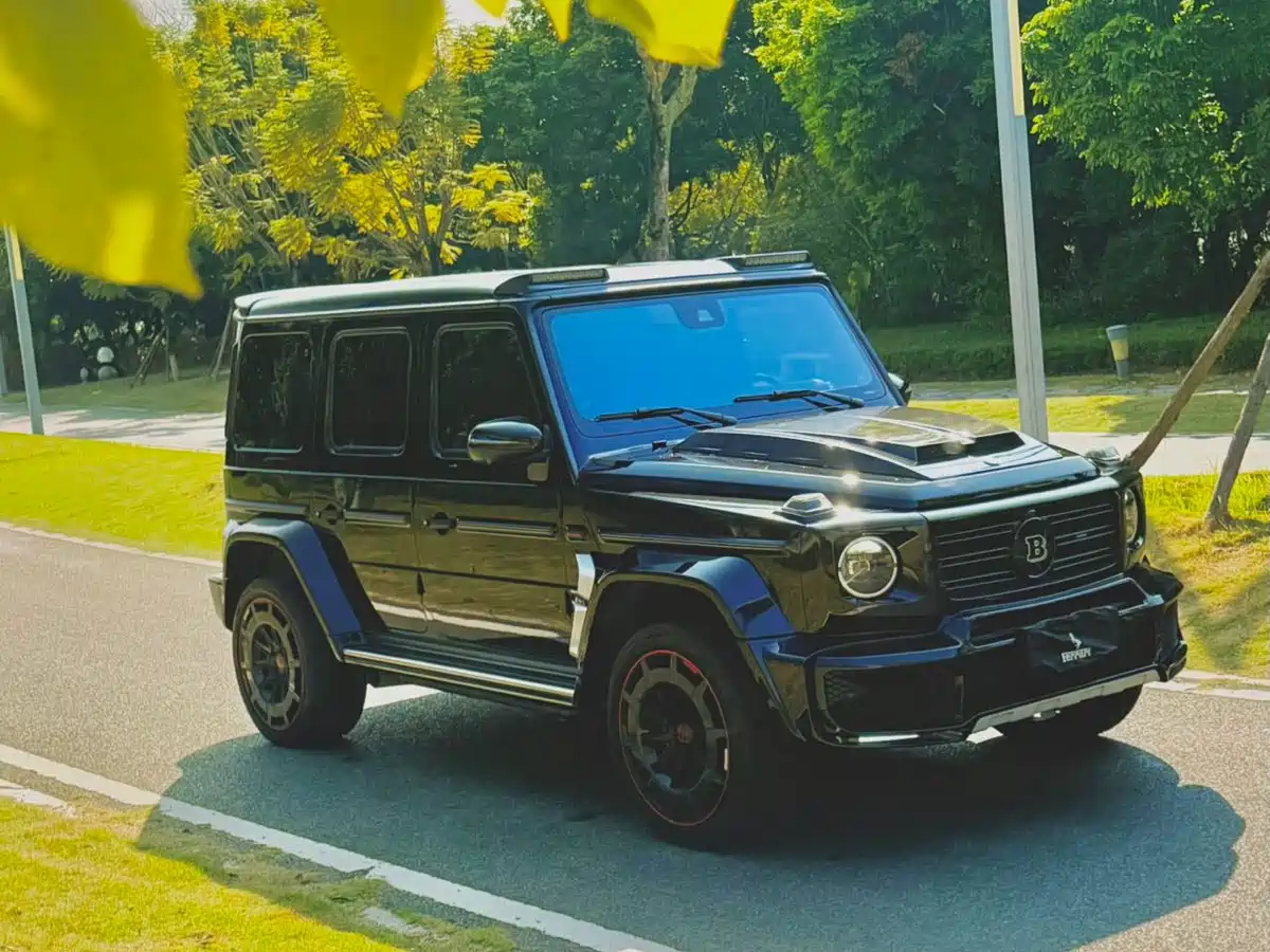 Mercedes-Benz G-Class 2019 G 500 фото 3
