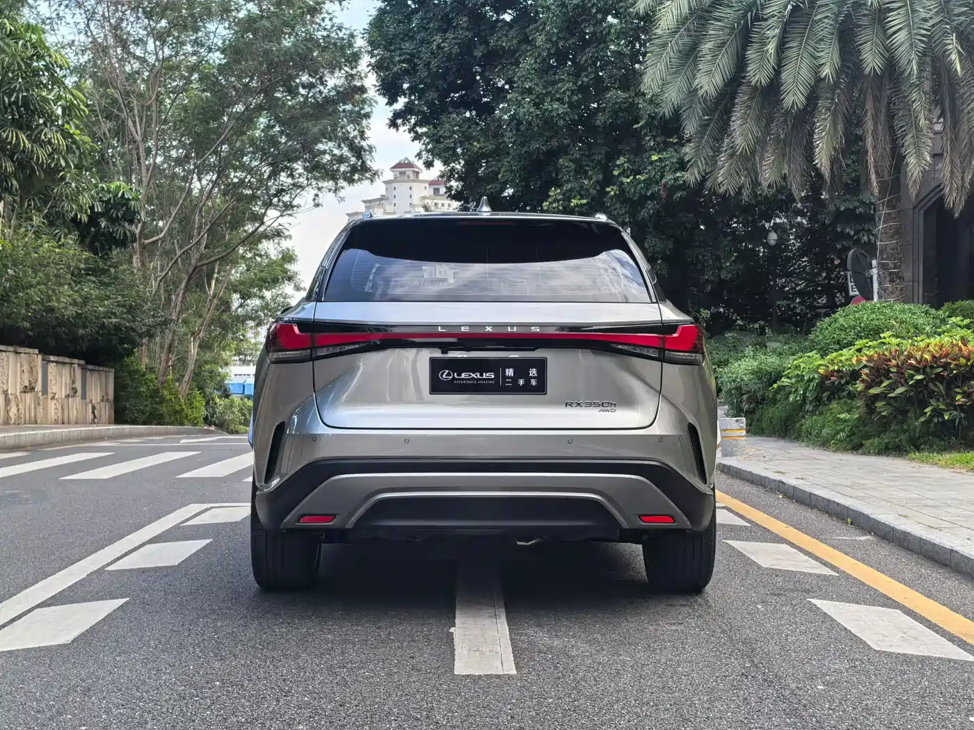 LEXUS RX