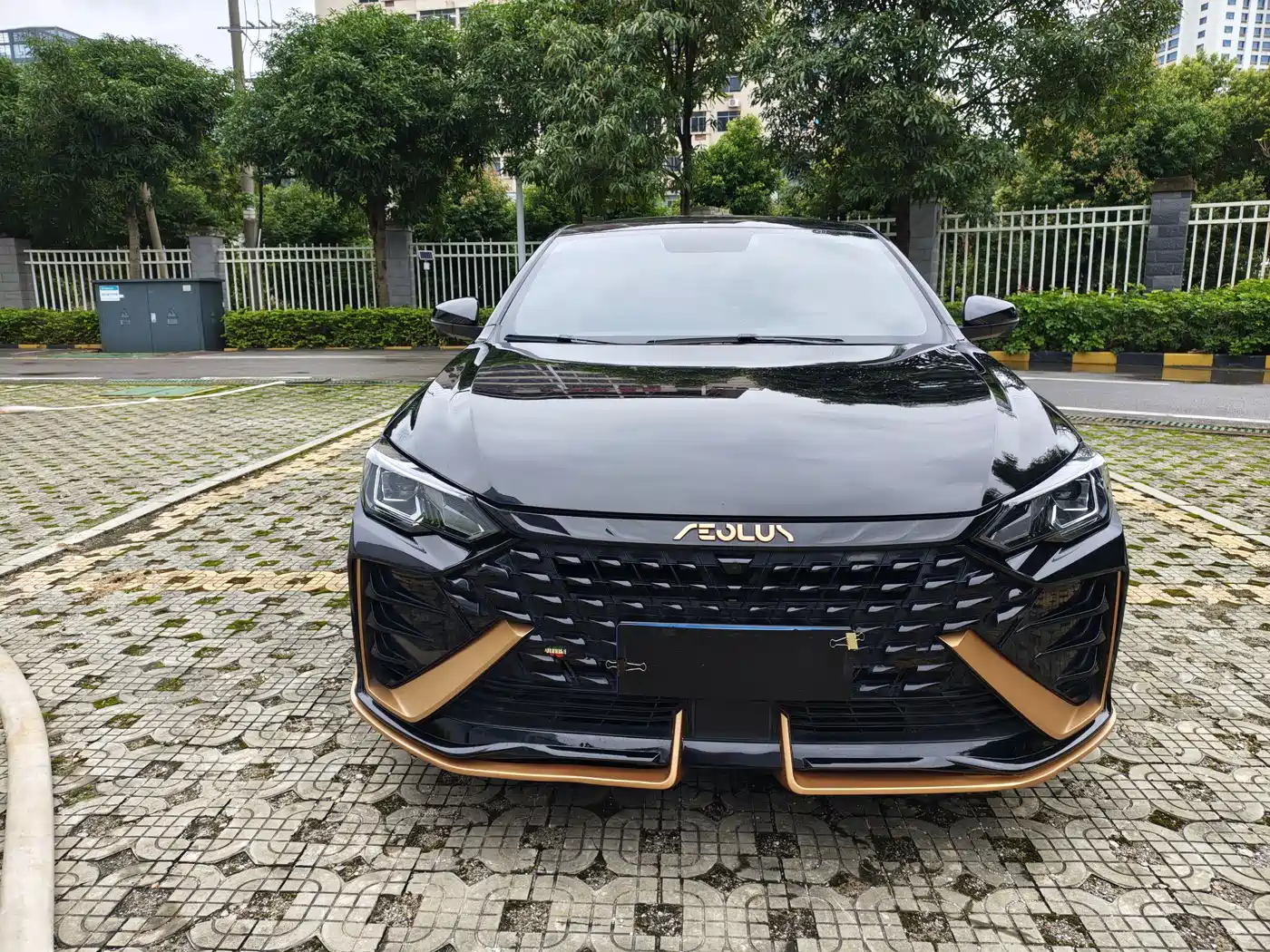 DONGFENG YI HYUN MAX