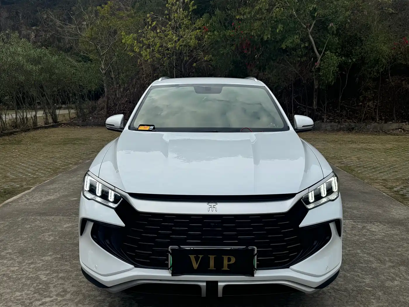 BYD SONGJIANG NEW ENERGY