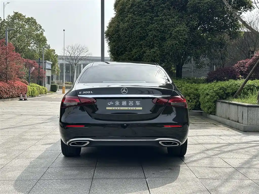 Mercedes-Benz E-Class 2023 E 300 L Luxury фото 13
