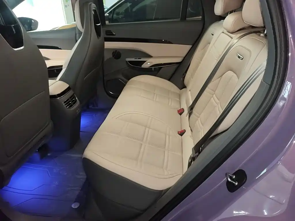 Hongqi Tian Gong 08 2024 2025 730 Max RWD