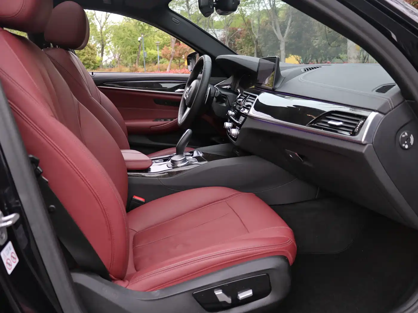 BMW 5 Series 2020 530Li Leading M Sport Package фото 14