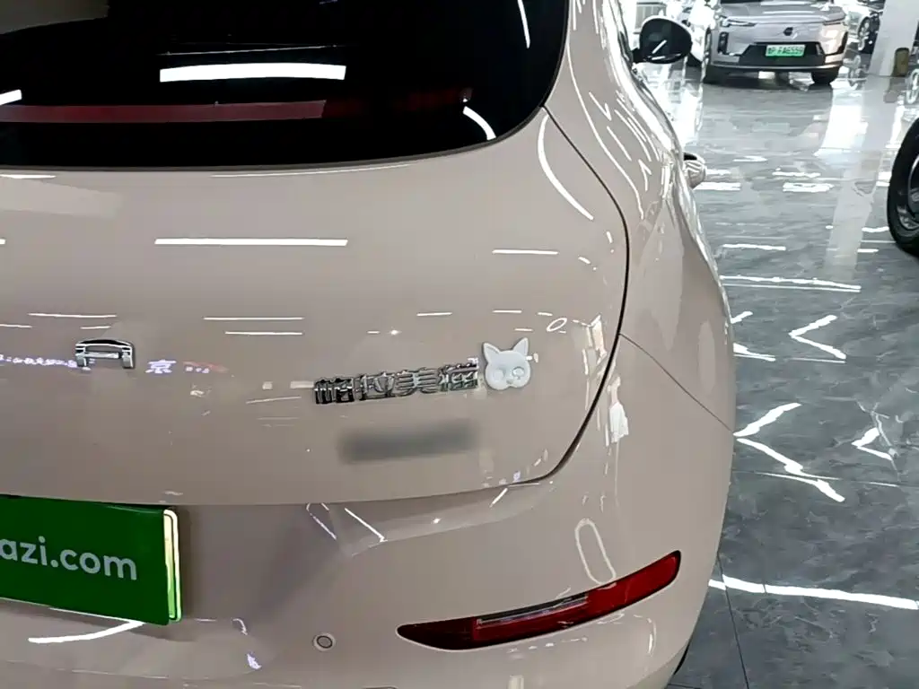 Ora Good Cat 2025 2024 401km Luxury