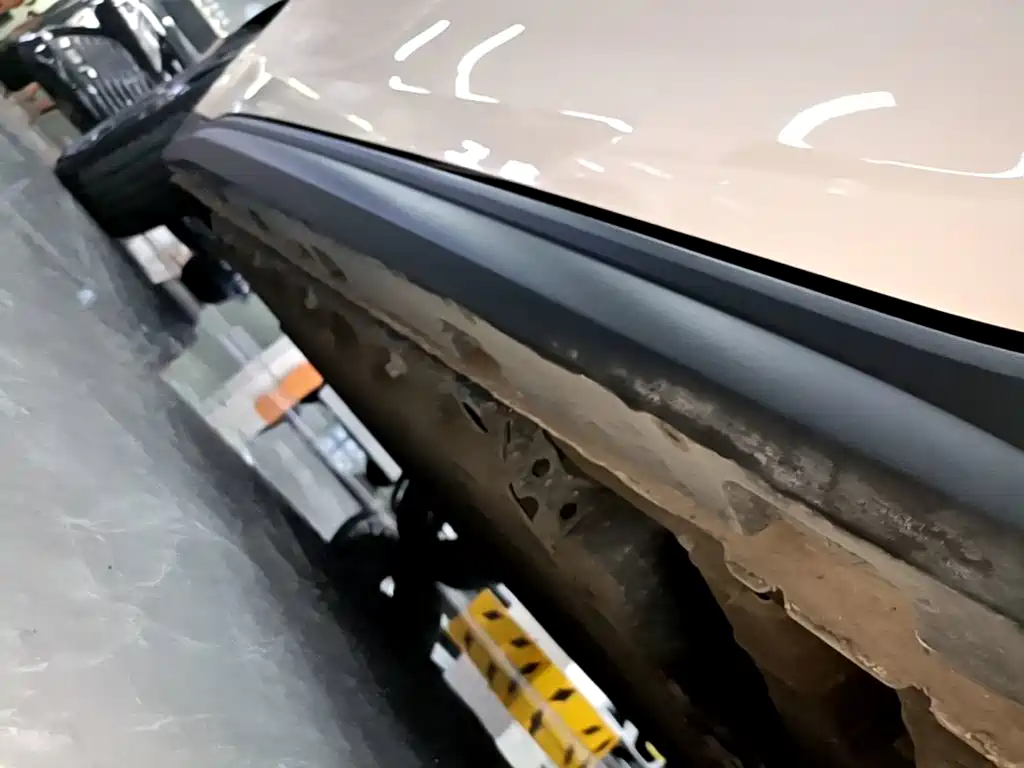 Ora Good Cat 2025 2024 401km Luxury