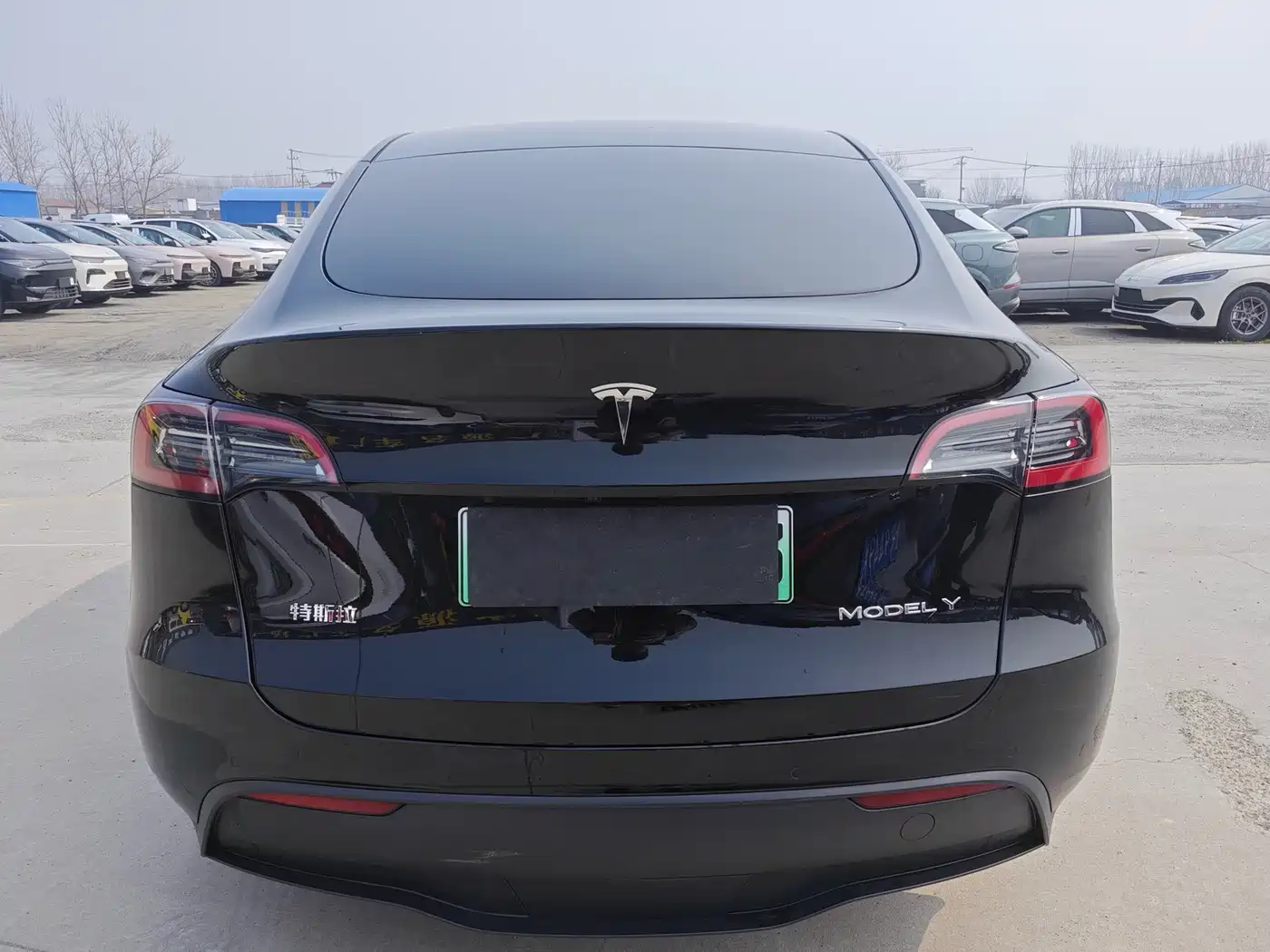TESLA MODEL Y