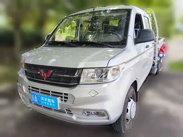  Wuling Motors Wuling Rongguang New Truck 2023 2.0L CNG Dual Rear Wheels Double Cab Comfort