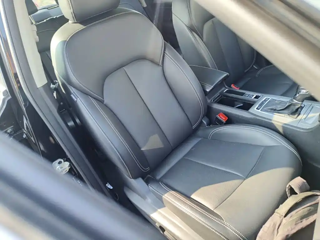 Фото 25 - Roewe RX5