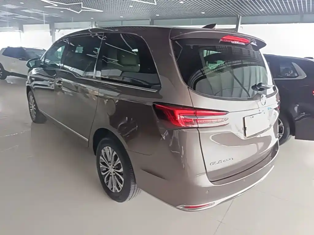 Фото 5 - Buick GL8