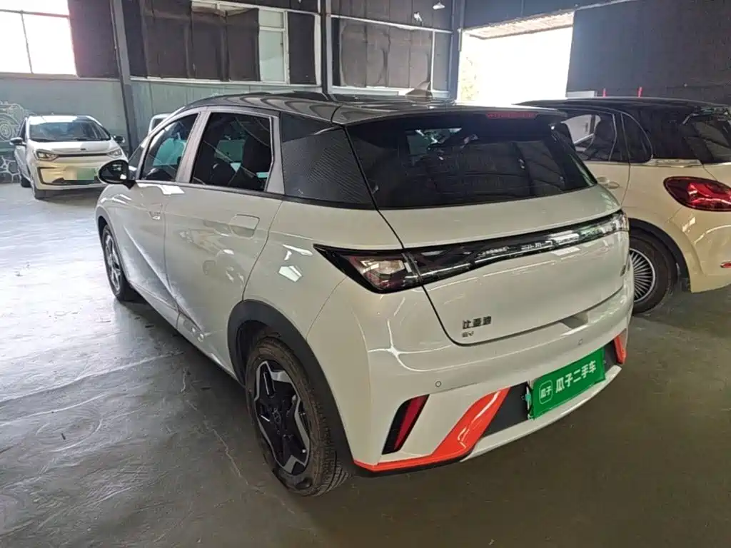 BYD Dolphin 2022 2021 405km Freedom Edition