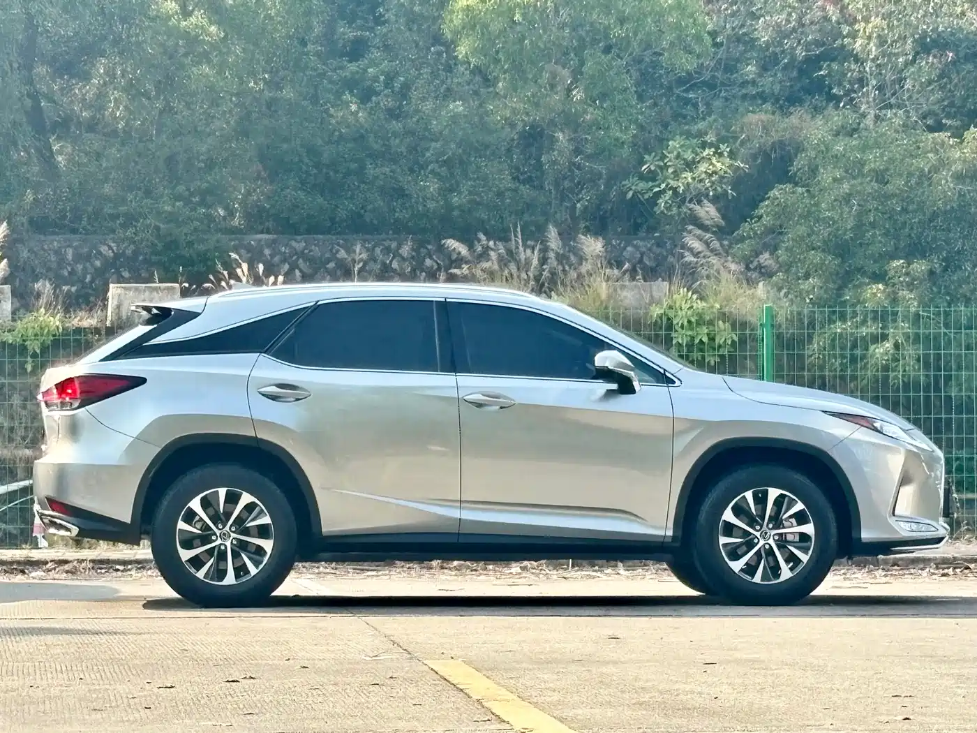 Lexus RX 2020 Facelift 300 2WD Comfort Edition фото 5