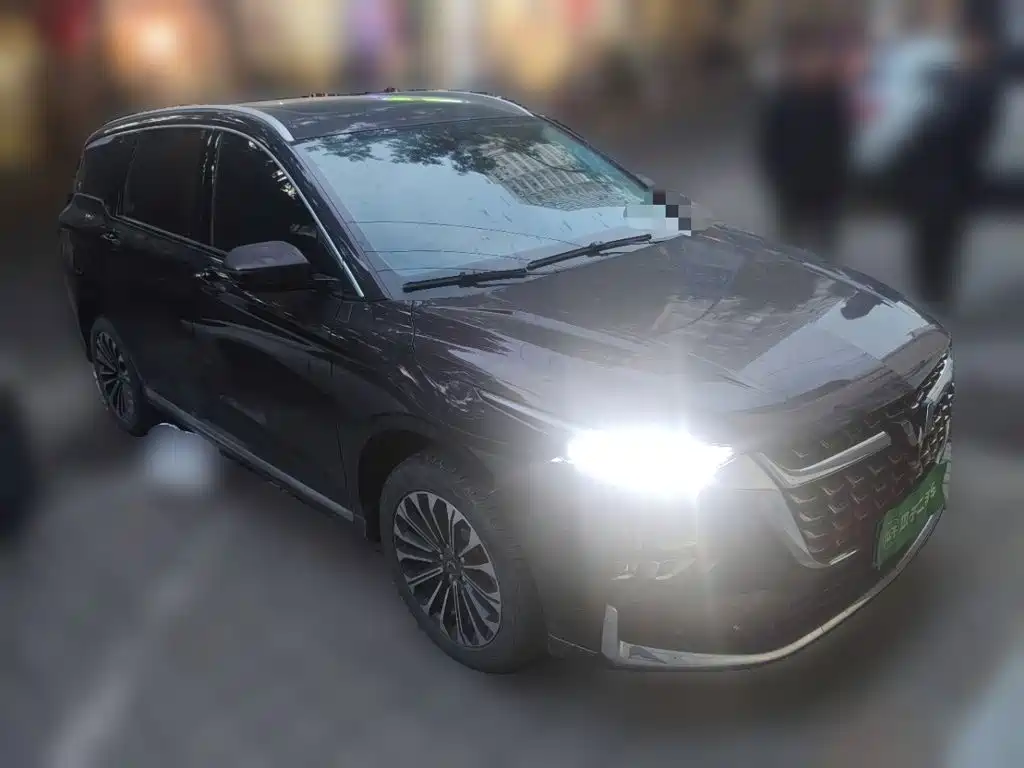 2024 Wuling Motors Wuling Victory