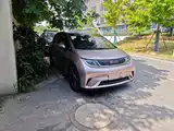 Фото 3 - BYD Dolphin