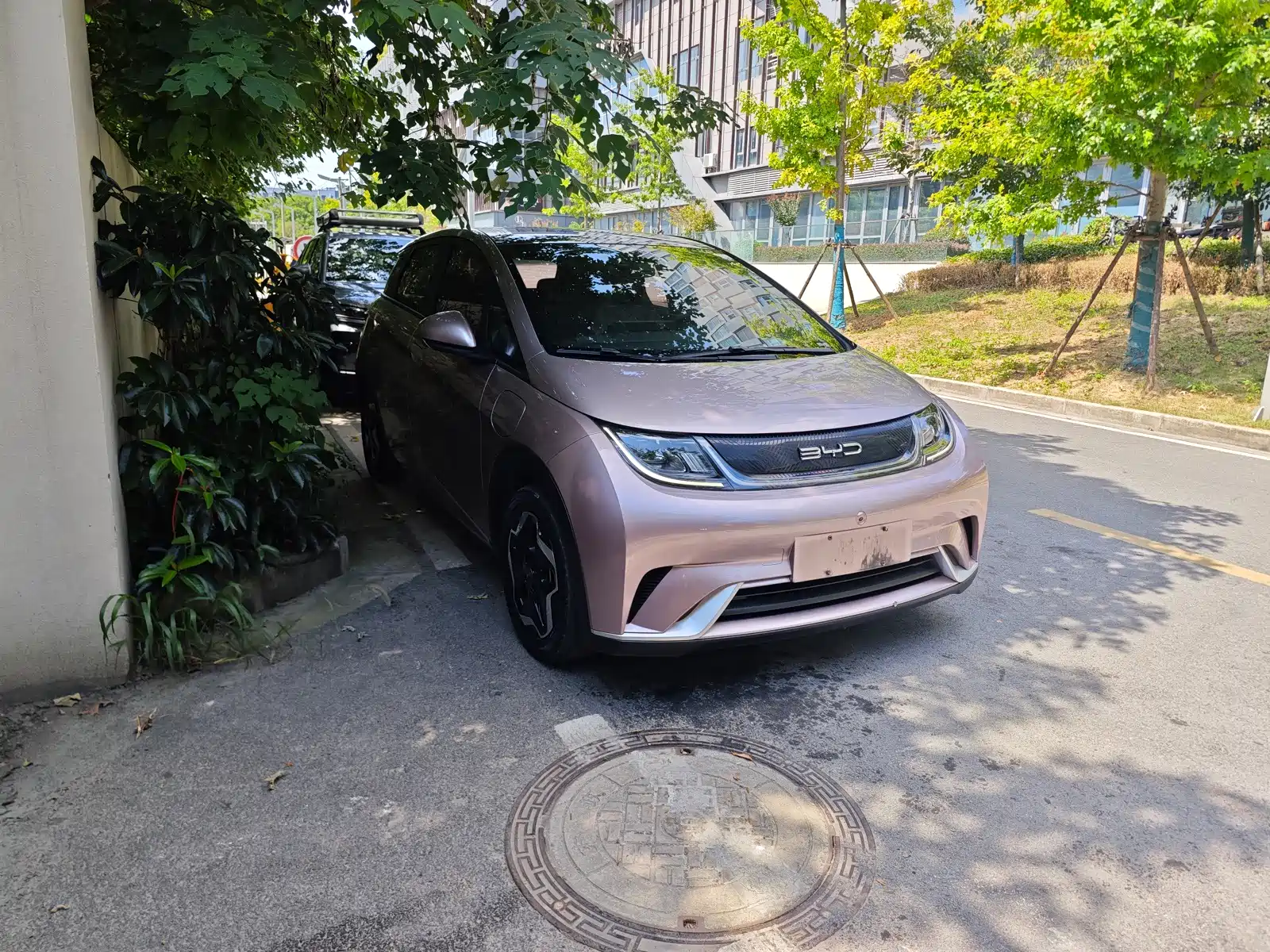 Фото 3 - BYD Dolphin