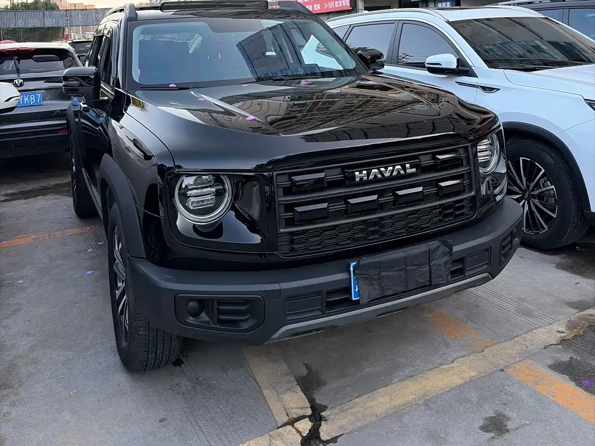 Photo 3 - Haval Dargo
