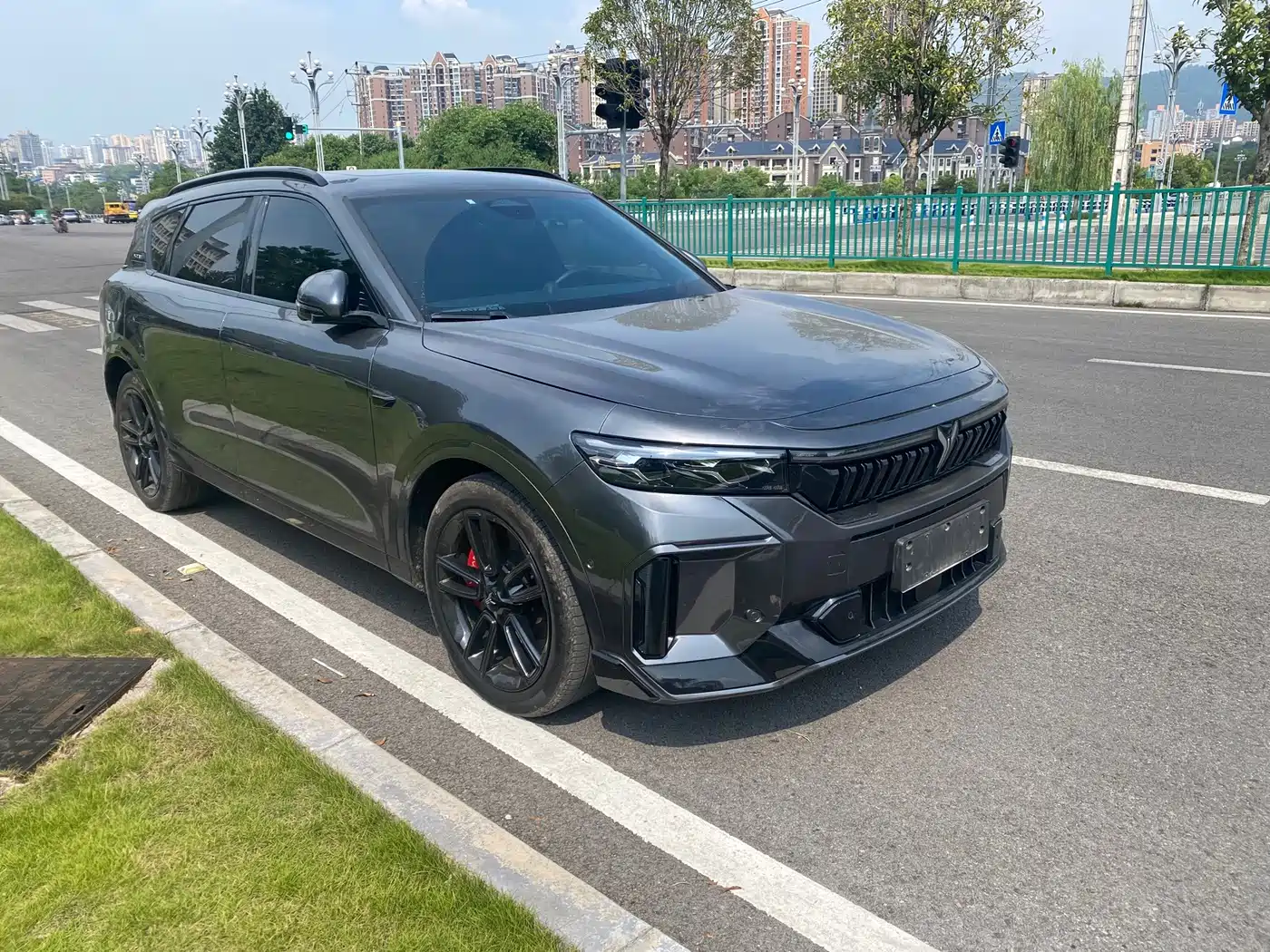 Voyah Auto VOYAH FREE 2025 2025 318 318km RWD Touring Edition