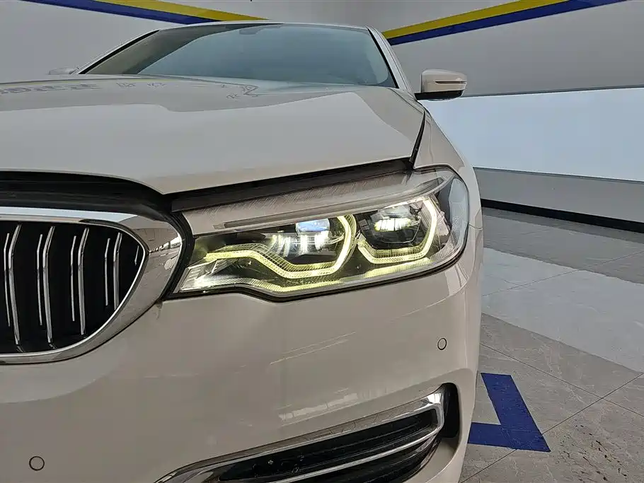 BMW 5 Series 2021 530Li Leading Luxury Package фото 5