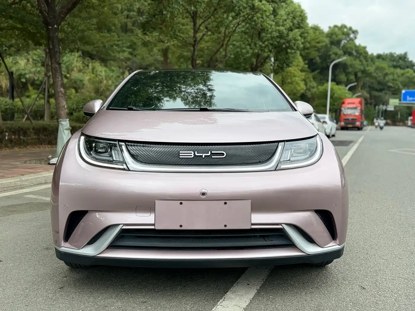 BYD Dolphin 2023 420km Fashion Edition фото 2