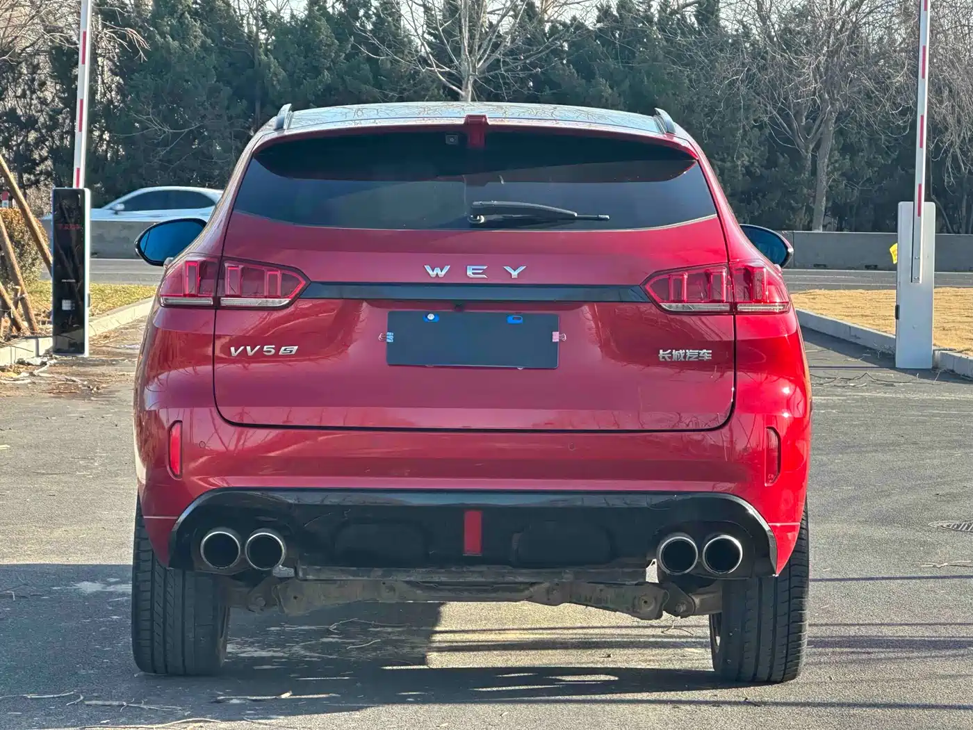 WEI PAI WEI BRAND VV5